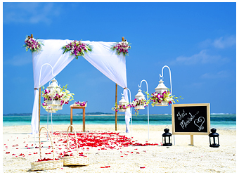 Other Special Events